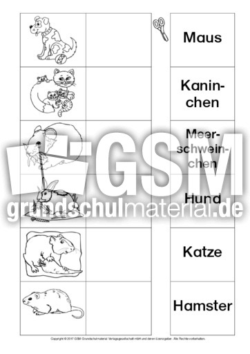 AB-Tiere-Zuordnung 1.pdf